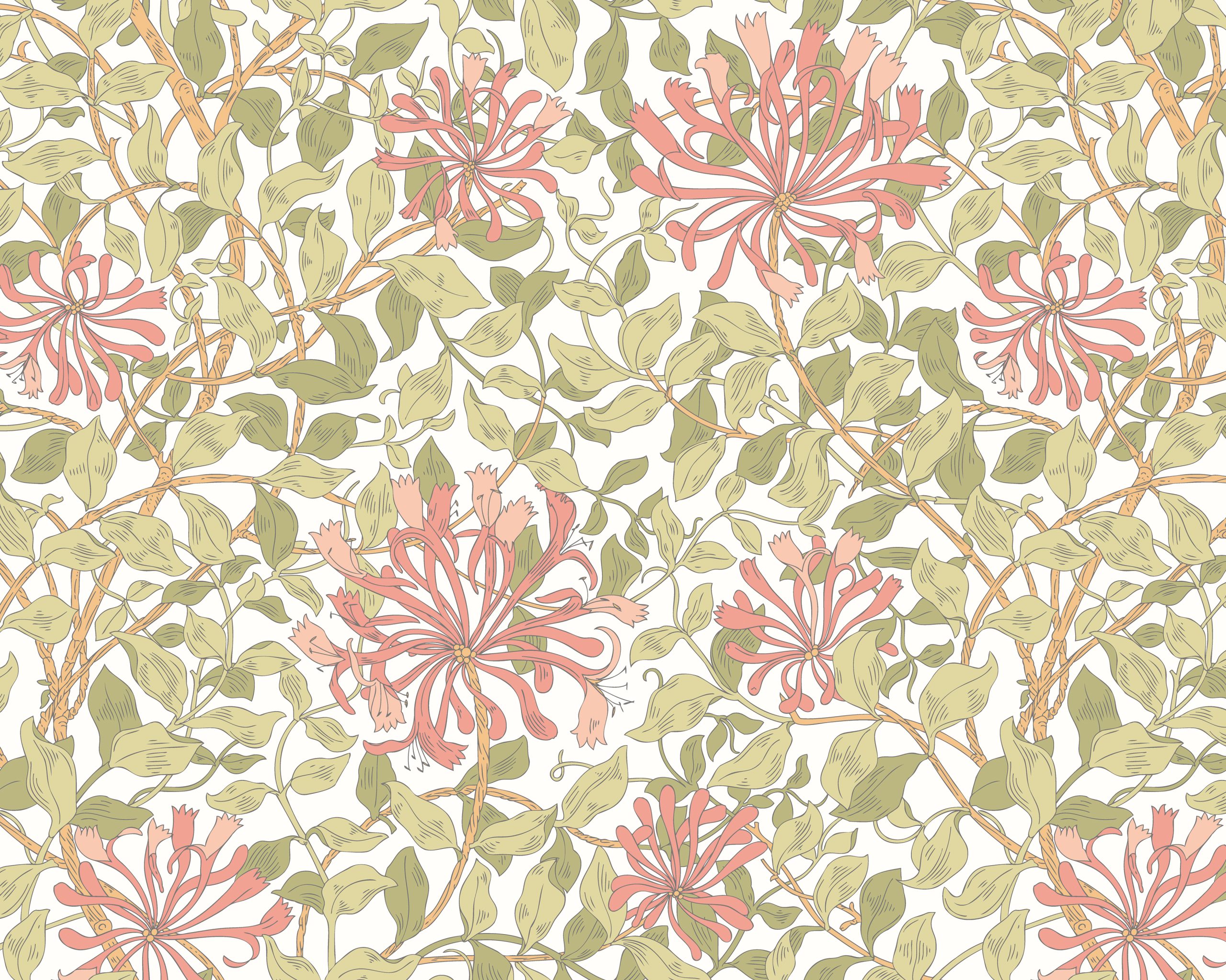 Planta Trepadora - Imagen 2