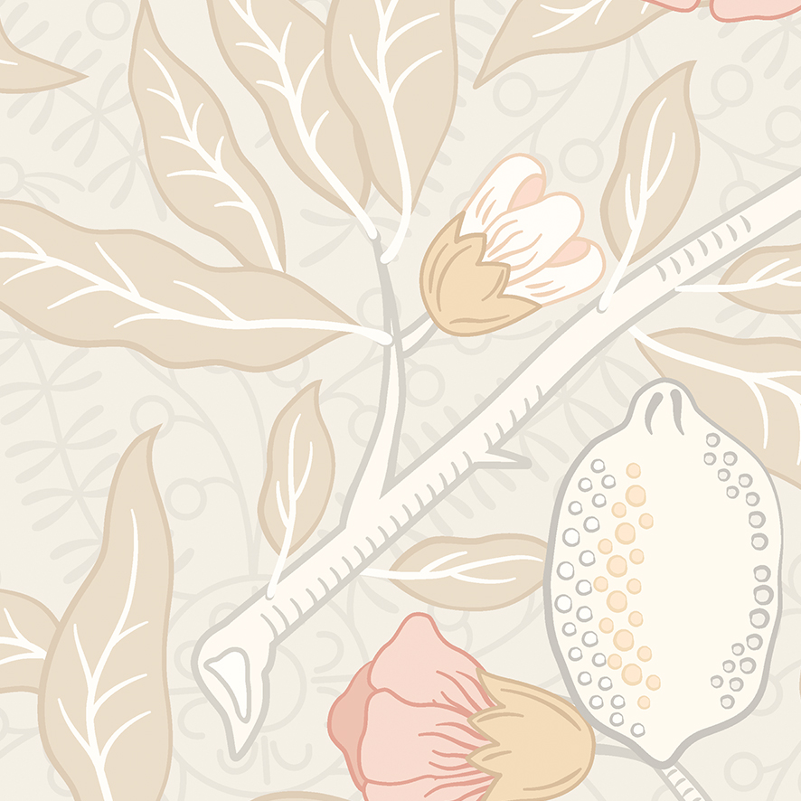 Árbol de Granadas Beige