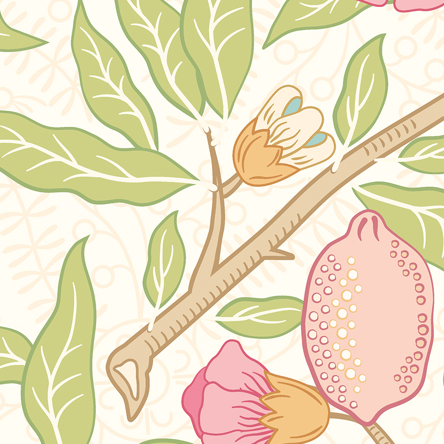 Árbol de Granadas Verde y Rosa