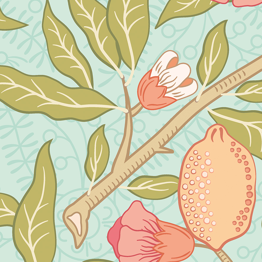 Árbol de Granadas Turquesa