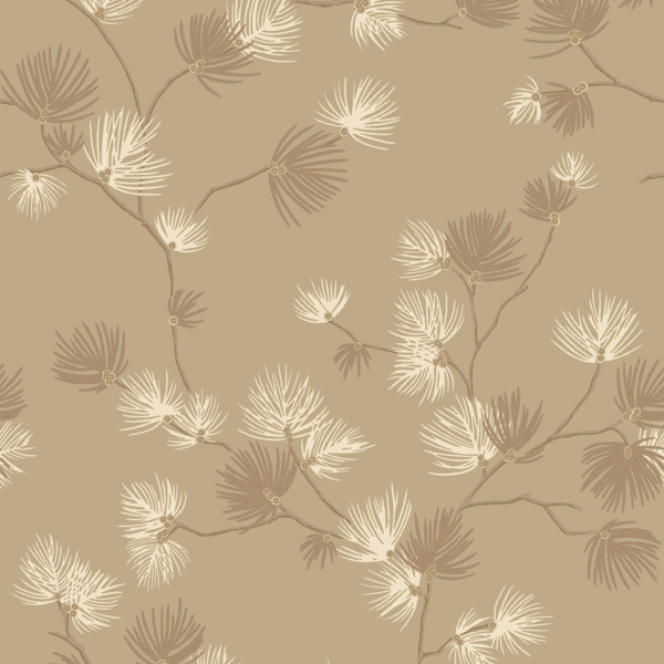 Pine Champagne