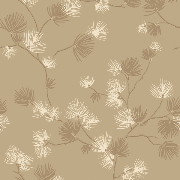 Pine Champagne