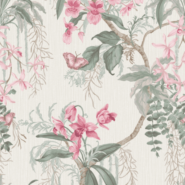 Orquídea Rosa